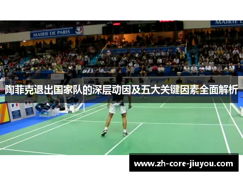 陶菲克退出国家队的深层动因及五大关键因素全面解析 陶菲克退出国家队的深层动因及五大关键因素全面解析